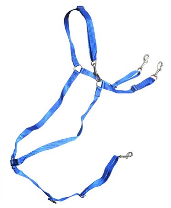 Hovedbilde Walsh Nylon Y-brøste