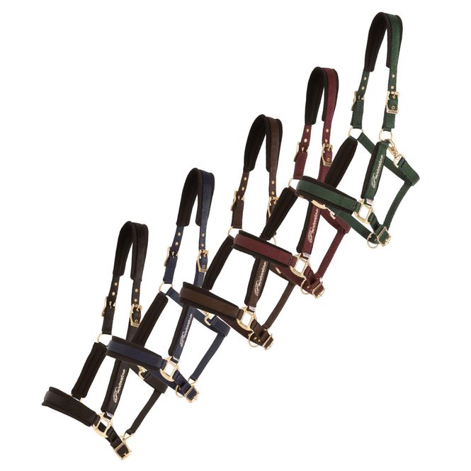 Hovedbilde GRIME PROTECTOR