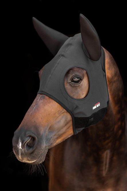 Hovedbilde TITANIUM MASK