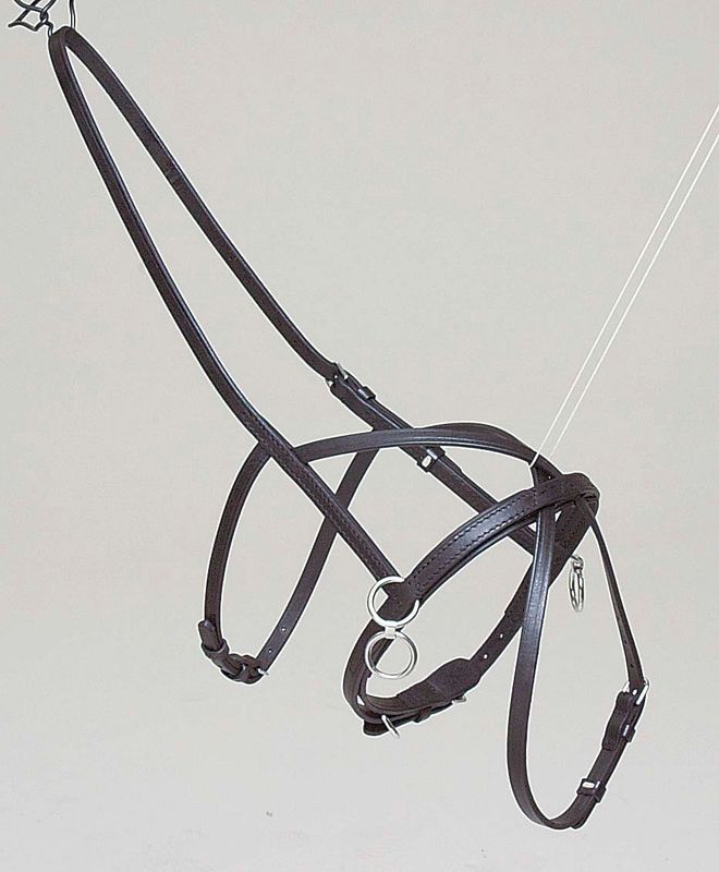 Kryssnesereim med 5 ringer lær.