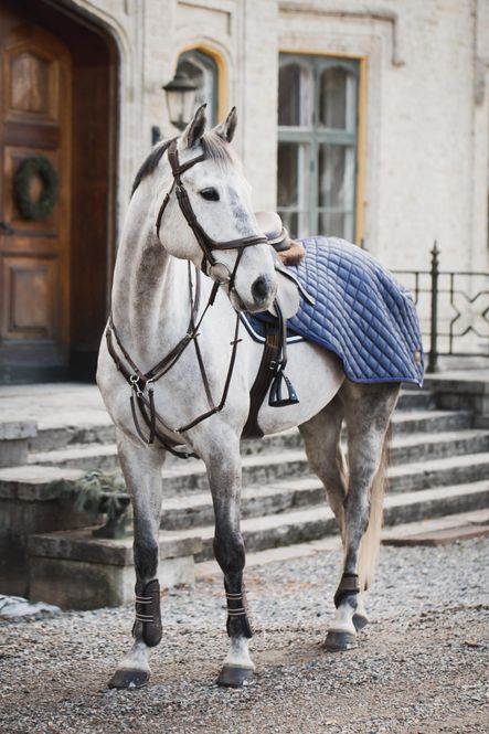 Hovedbilde RIDEDEKKEN LIPPO 