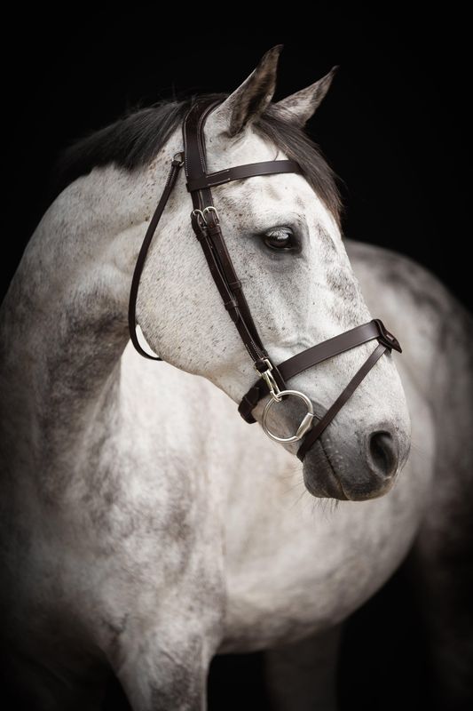 TRÄNS LIPPO TRAINER