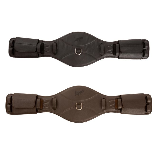 Hovedbilde DRESSUR GJORD LIPPO