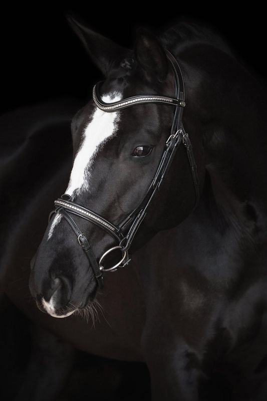 TRÄNS LIPPO SUPREME