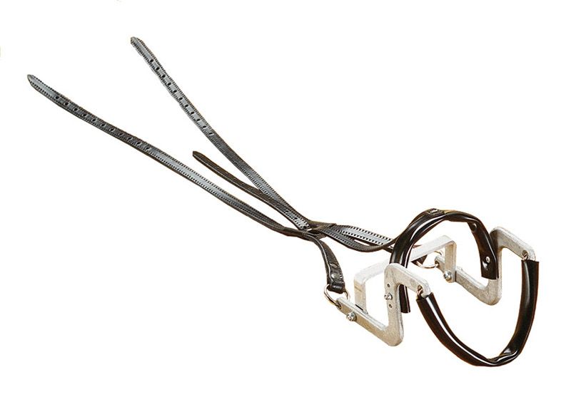 Amerikansk Luftsjekk