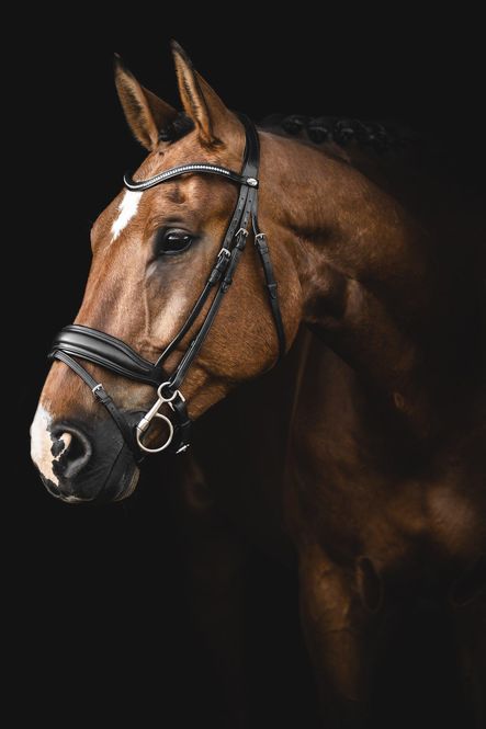 Hovedbilde HODELAG LIPPO SUPREME INTEGRO