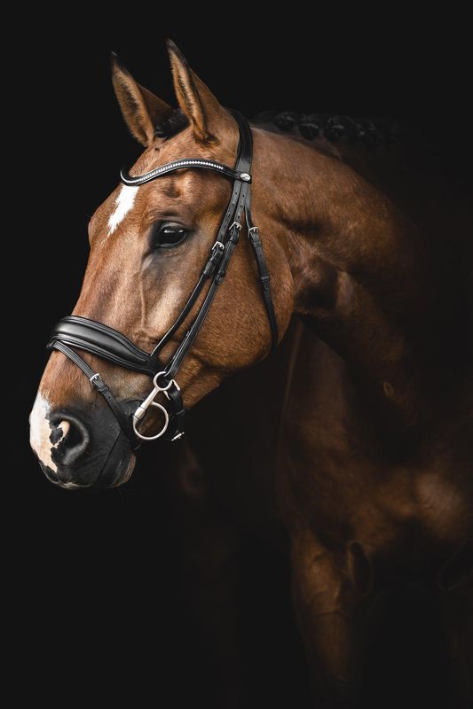 HODELAG LIPPO SUPREME INTEGRO