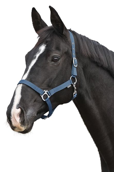 Hovedbilde NYLONGRIMMA