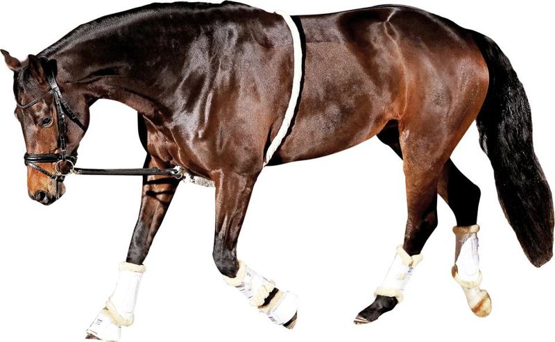 Horse Guard Soft-longeringshjelp