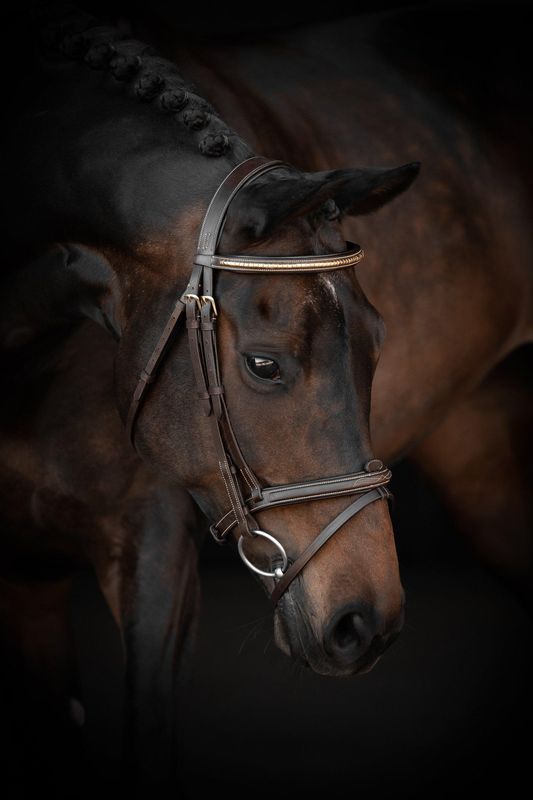 HODELAG LIPPO BASIC PRESTON FANCY