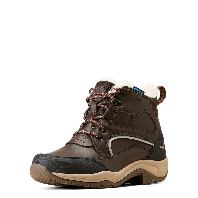 Ariat Telluride Waterproof Insulated Boot