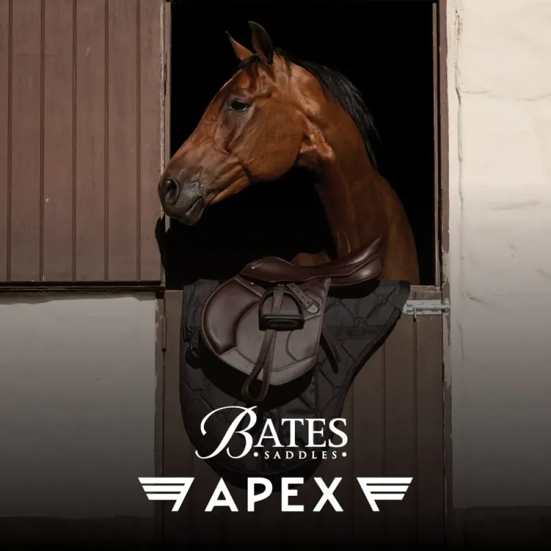 Bates Apex Sprang sal