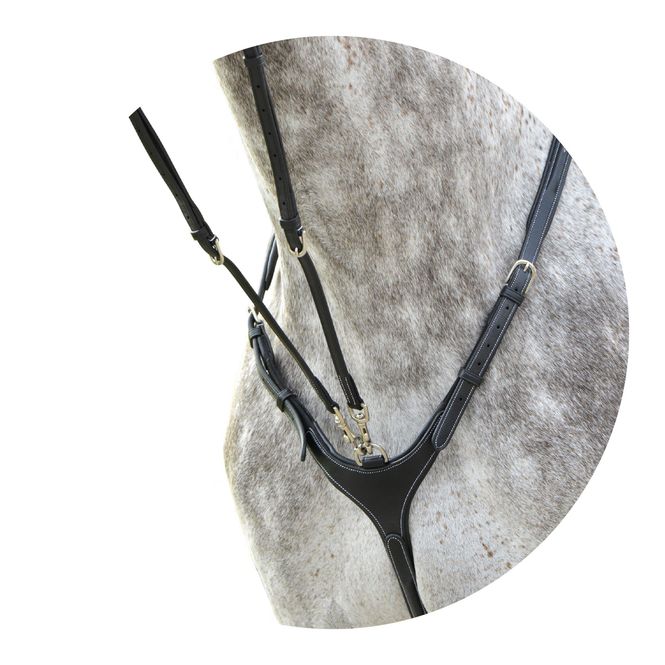 Hovedbilde FORTØY FAZZINO